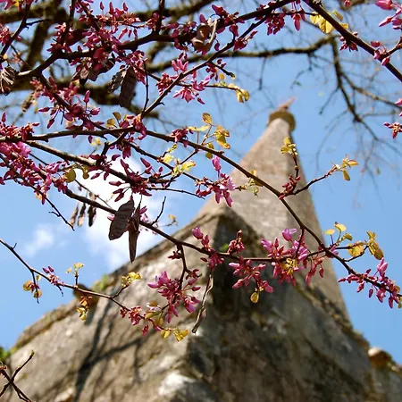 Casa Da Anunciada, Countryside Retreat