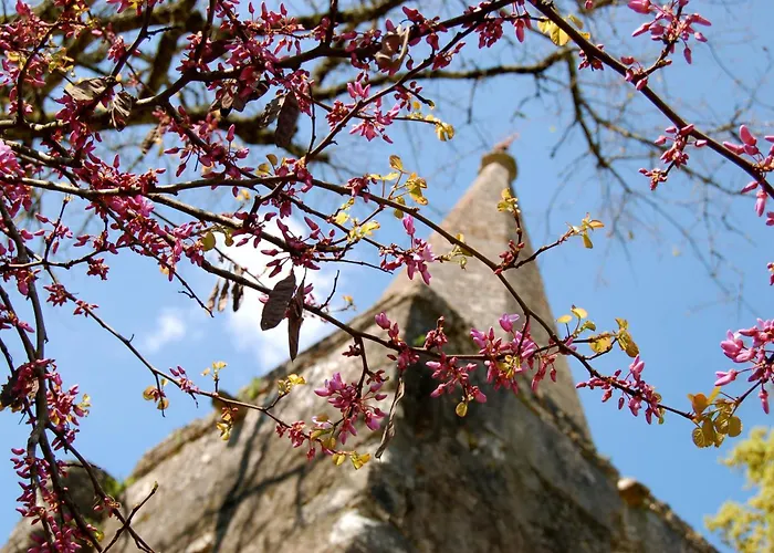 Casa Da Anunciada, Countryside Retreat