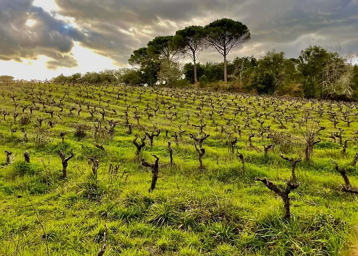 Villa Casa Da Anunciada, Countryside Retreat Tomar